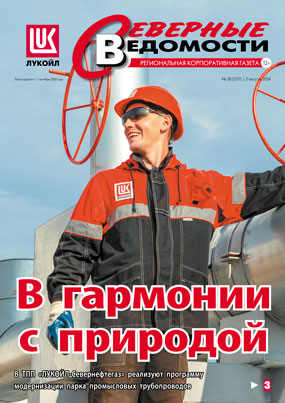 Газета в PDF